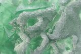 Apple-Green Octahedral Fluorite Crystal Cluster - China #319713-1